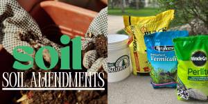 Photo: Revitalize Old Potting Soil